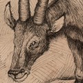 thumbnail of a graphorn